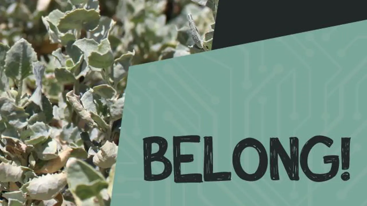 Belong