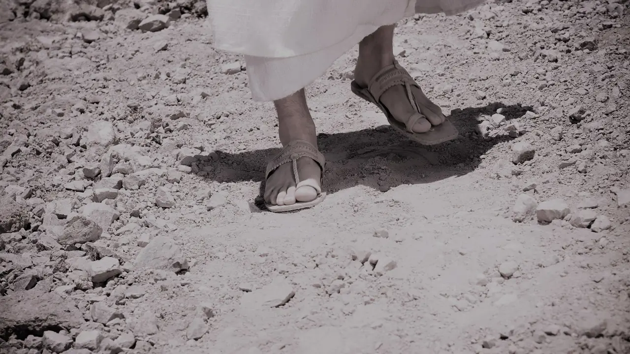 The Christology and Ethos of Saltbush